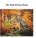 The Wolf Picture Book by David Sechovicz