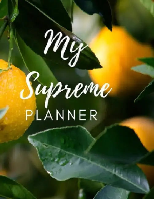 The Supreme Planner: Self Care by Nikki Curry