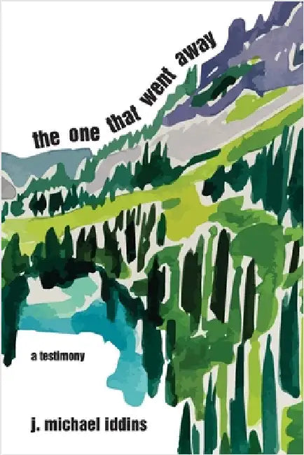 The One That Went Away by Iddins, J. Michael
