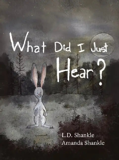 What Did I Just Hear?: A children's book about dealing with feelings of fear by L. D. Shankle