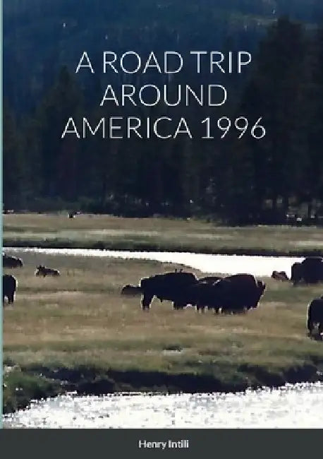 A Road Trip Around America 1996 by Henry Intili