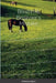 Blind Hill: Beginner's Mistake by Teffeteller Myart