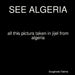 See Algeria by Bougheda Fatima