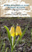 Boise Foothills and Forest Plants by Ray S. Vizgirdas