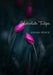 Chocolate Tulips by Sarah Pence