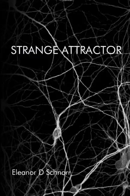 Strange Attractor by Eleanor Schnarr