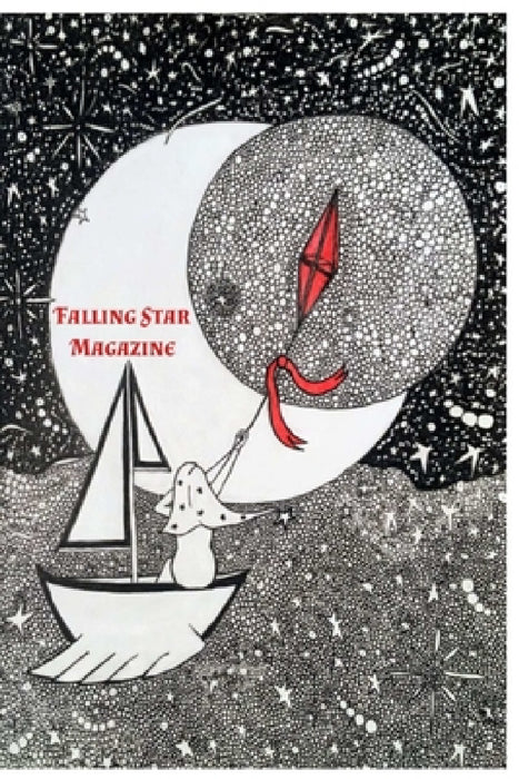 Falling Star 2018 by Matt J. McGee