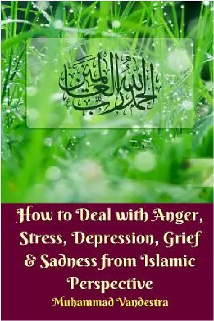 How to Deal With Anger, Stress, Depression, Grief and Sadness from Islamic Perspective by Vandestra, Muhammad