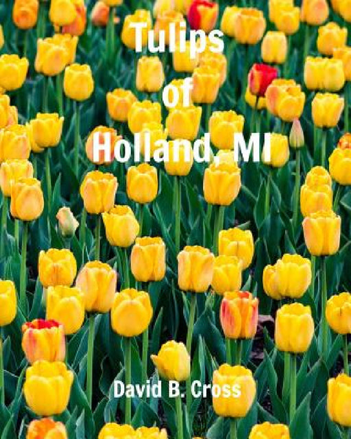 Tulips of Holland, MI by David B. Cross