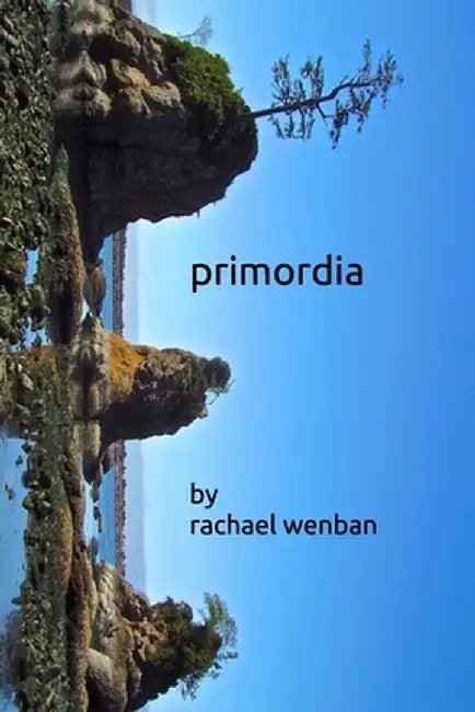 primordia by Rachael Wenban