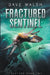 Fractured Sentinel by Dave Walsh