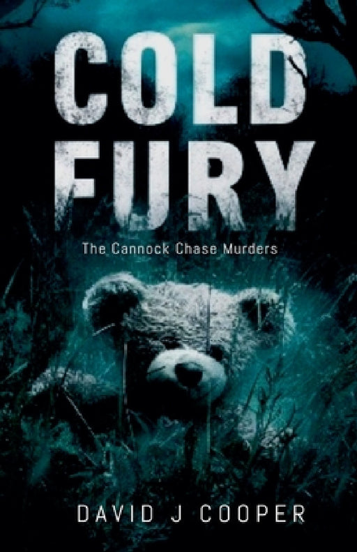 Cold Fury by David J. Cooper