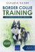 Border Collie Training - Dog Training for your Border Collie puppy by Claudia Kaiser