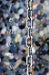 Fences by John Siwicki