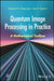 Quantum Image Processing in Practice: A Mathematical Toolbox by Artyom Grigoryan