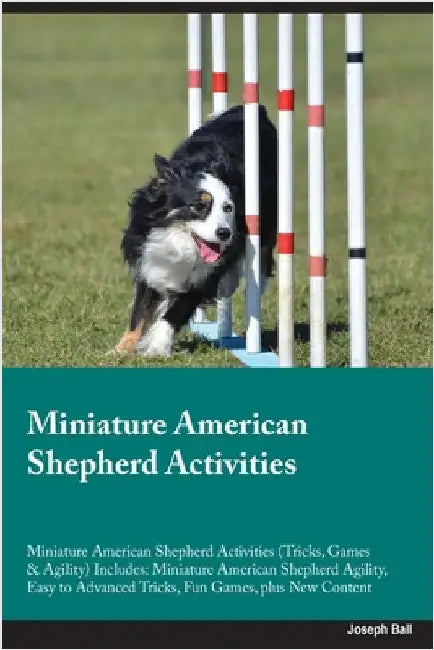 Miniature American Shepherd Activities Miniature American Shepherd Activities (Tricks, Games & Agility) Includes: Miniature American Shepherd Agility, by Ball, Joseph