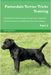 Patterdale Terrier Tricks Training Patterdale Terrier Tricks & Games Training Tracker & Workbook. Includes: Patterdale Terrier Multi-Level Tricks, Gam by Central, Training