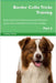 Border Collie Tricks Training Border Collie Tricks & Games Training Tracker & Workbook. Includes: Border Collie Multi-Level Tricks, Games & Agility. P by Central, Training