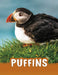 Puffins by Jaclyn Jaycox