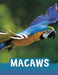 Macaws by Jaclyn Jaycox