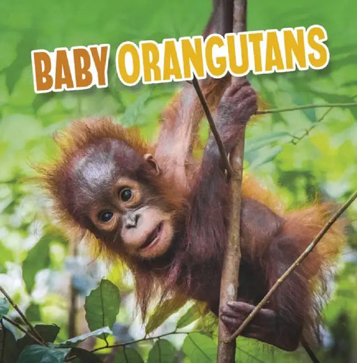 Baby Orangutans by Martha E. H. Rustad