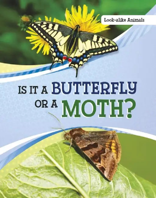 Is It a Butterfly or a Moth? by Susan B. Katz