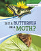 Is It a Butterfly or a Moth? by Susan B. Katz