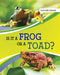 Is It a Frog or a Toad? by Susan B. Katz