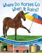 Where Do Horses Go When It Rains? by Katherine Rawson