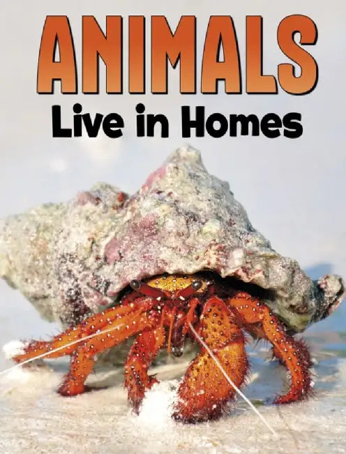 Animals Live in Homes by Nadia Ali