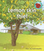 Lemon skin thief by Kath Beattie