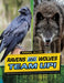 Ravens and Wolves Team Up! by Stephanie True Peters