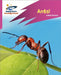 Reading Planet: Rocket Phonics – Target Practice – Ants! – Pink A by Isabel Thomas