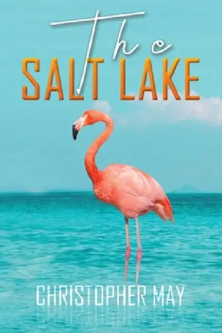 The Salt Lake by Christopher May