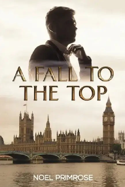A Fall to the Top by Noel Primrose
