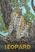 Teebu the Leopard by Peter Jite Asagba