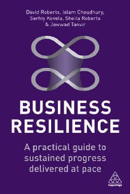Business Resilience: A Practical Guide to Sustained Progress Delivered at Pace by David Roberts