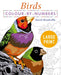 Large Print Colour by Numbers Birds by David Woodroffe