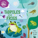 Life Cycles: Tadpoles and Frogs: Make Your Own Model! by Annabel Savery