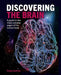 Discovering the Brain by Professor Frank Amthor