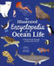 The Illustrated Encyclopedia of Ocean Life: A Visual Voyage Through an Underwater World by Claudia Martin