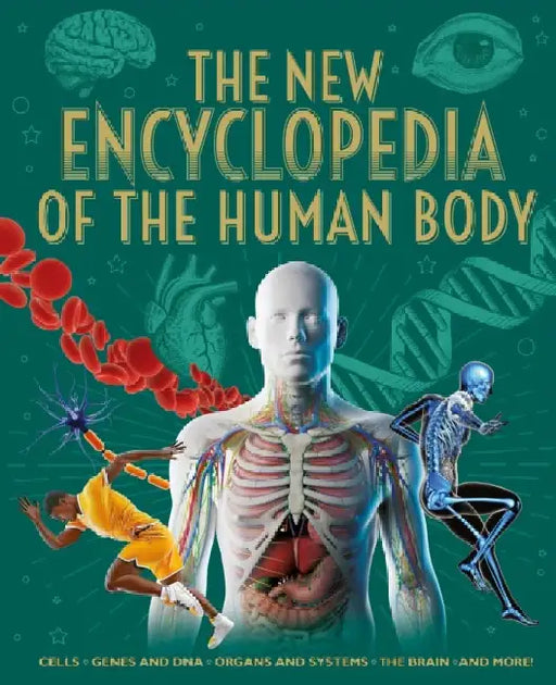 The New Encyclopedia of the Human Body: Cells, Genes and DNA, Organs and Systems, the Brain, and More! by Claudia Martin