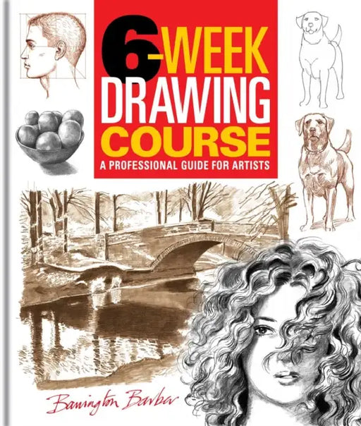 6-Week Drawing Course: A Professional Guide for Artists by Barrington Barber, Barrington Barber