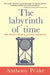 The Labyrinth of Time: The Illusion of Past, Present and Future by Anthony Peake