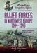 Painting Wargaming Figures - Allied Forces in Northwest Europe, 1944-45: British and Commonwealth, Us and Free French by Andy Singleton