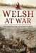 The Welsh at War: The Grinding War: The Somme and Arras by Steven John