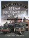Western Region Steam Locomotive Depots: A Pictorial Study by Laurence Waters
