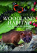 The Secret Life of a Woodland Habitat: Life Through the Seasons by Chloé Valerie Harmsworth, Chloé Valerie Harmsworth