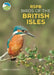 Rspb Birds of the British Isles by Rebecca Nason