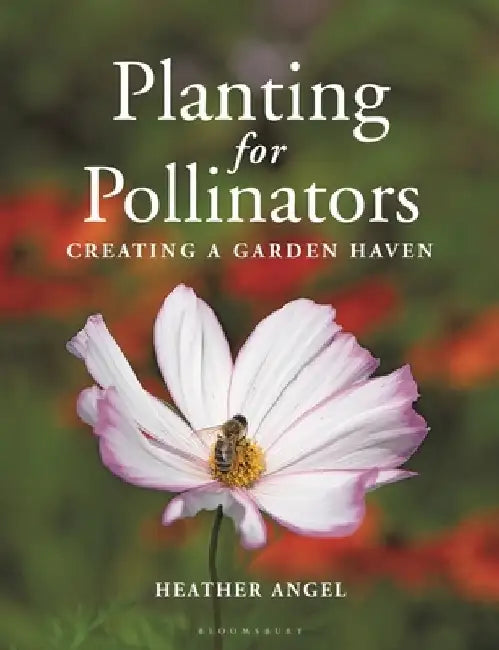 Planting for Pollinators: Creating a Garden Haven by Heather Angel